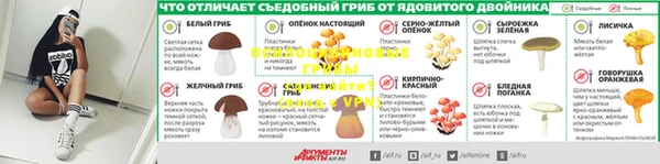 a pvp Алзамай